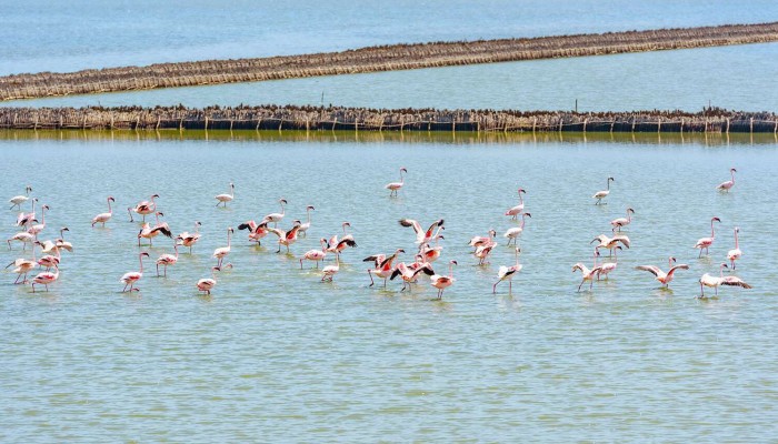 Tanzania Safari Wheather