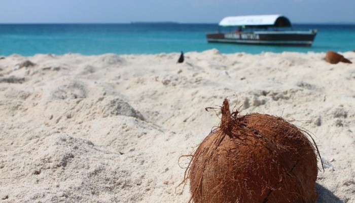 Mountain Killimanjaro Safari Travel tips