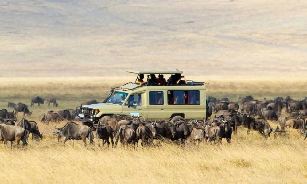 Game Drive in Serengeti National Park