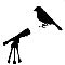 birdwatching icon
