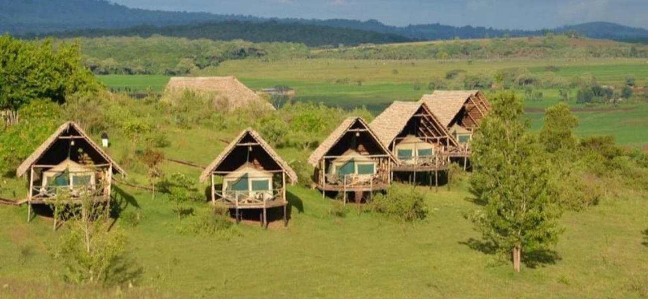 We also prioritize responsible tourism